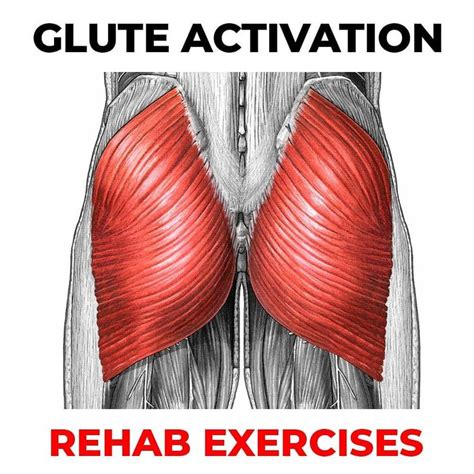 🚨 3 Glute Activation Rehab Exercises 🚨 The Gluteal Muscles Are One Of
