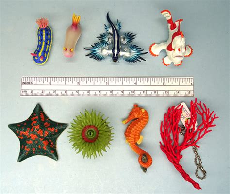Nature Technicolor Seaside Creatures Toy Animal Wiki