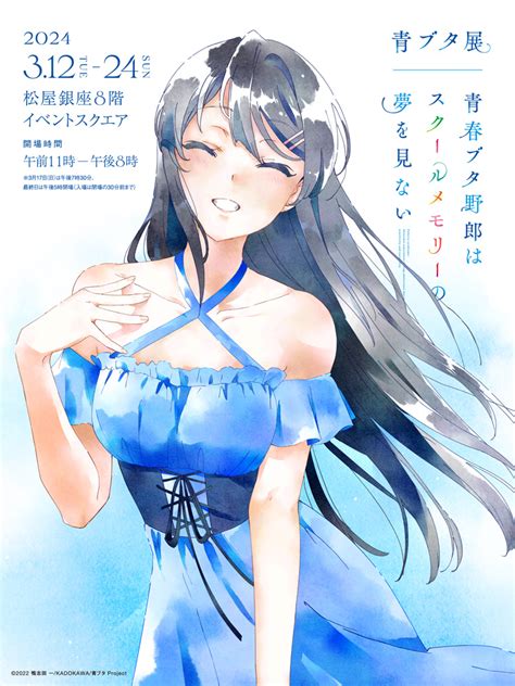 Sakurajima Mai Seishun Buta Yarou Series Image By Cloverworks Zerochan Anime