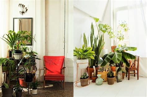 Growing plants in the home interior helps bring a little nature into your living space and cleans the air, as they add their effortless beauty to the décor. 7 Different Way to Indoor Plants Decoration Ideas in ...