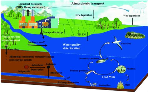 Schematic Of Industrial Pollution On The Aquatic And Soil Ecosystems