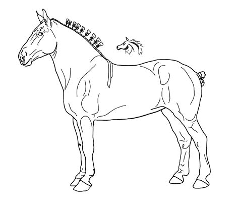 draft horse coloring pages  getcoloringscom  printable colorings pages  print  color