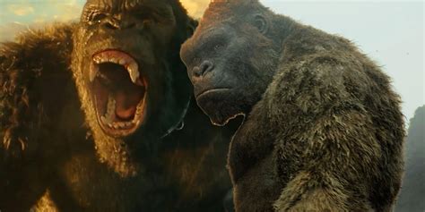 Последние твиты от godzilla vs. Godzilla vs Kong: How First Footage Confirms Kong's Height ...