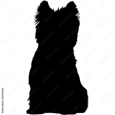 Cairn Terrier Silhouette Vector Stock Vector Adobe Stock