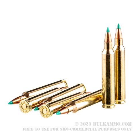 20 Rounds Of Bulk 204 Ruger Ammo By Sellier And Bellot 32 Gr Pts
