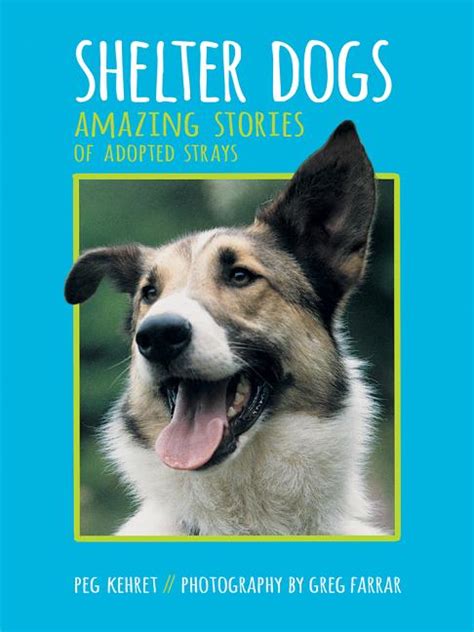 Teachingbooks Shelter Dogs Amazing Stories Of Adopted Strays