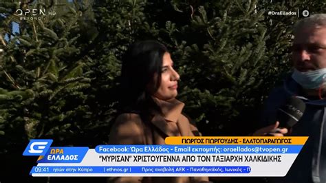 Φυσικά Χριστούγεννα με έλατο από τον Ταξιάρχη Χαλκιδικής Ώρα Ελλάδος OPEN TV