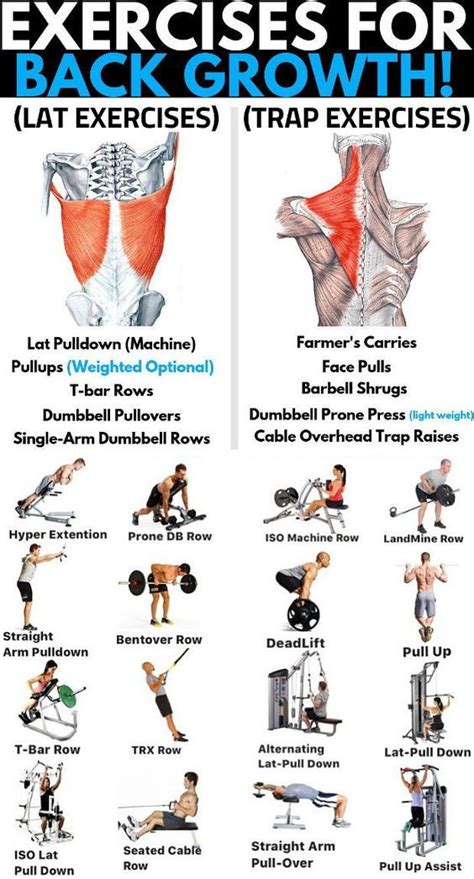 Body Workout Plan Workout Chart Gym Workout Tips At Home Workouts