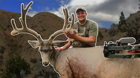Bowhunting Mule Deer Velvet Buck Smoked On Opening Day Youtube