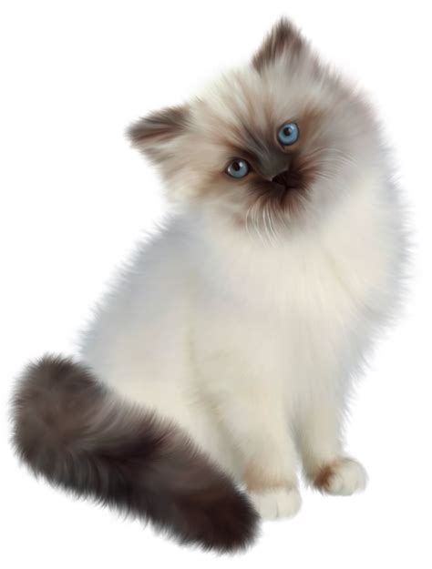 Kitten Transparent Png Clipart Cat Drawing Animals Images Cats