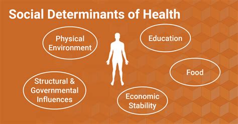 Social Determinants Of Health Structural And Governmental Influences