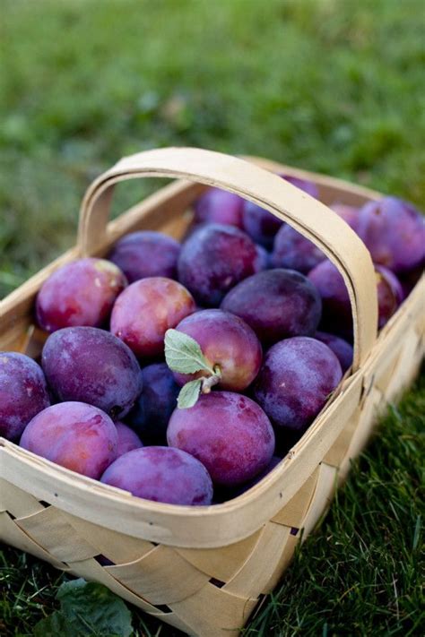 Maybe you would like to learn more about one of these? A homemade Chinese plum sauce recipe based on tips from my ...