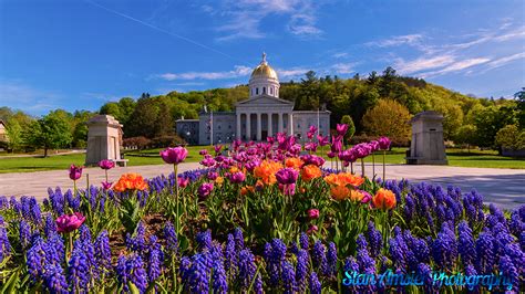 Stan Amster Photography Spring Flowers At The Vermont Statehouse In