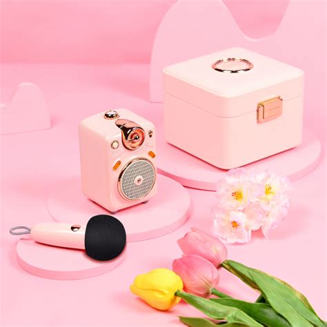 Divoom Fairy Ok Bluetooth Speaker With Microphone Pink 365x Tech