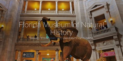 Florida Museum Of Natural History