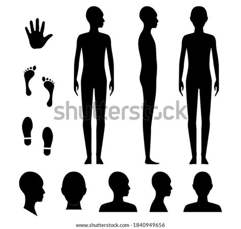 Vecteur Stock Human Body Silhouette Of A Bald Naked Barefoot Adult Male