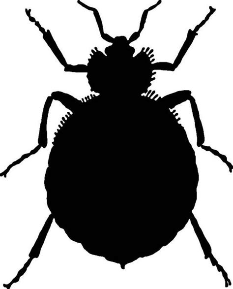 Free Bug Cliparts Black Download Free Bug Cliparts Black Png Images