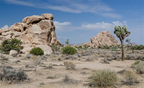 Filejoshua Tree National Park 2013 Wikipedia