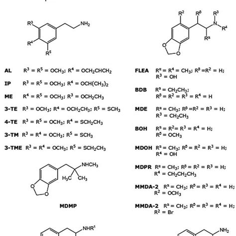 Pdf Mdma 34 Methylenedioxymethamphetamine Analogues As Tools To