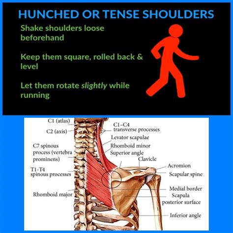 How To Prevent Upper Back And Neck Pain When Running Tgr