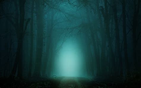 Morning Wallpaper 4k Forest Path Foggy Teal Cold