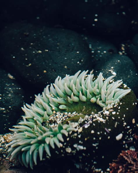 Underwater - Matchneedle