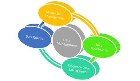 Understanding How A Data Management Program Supports Your Marketing