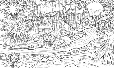 Rainforest Sketch At Explore Collection Of