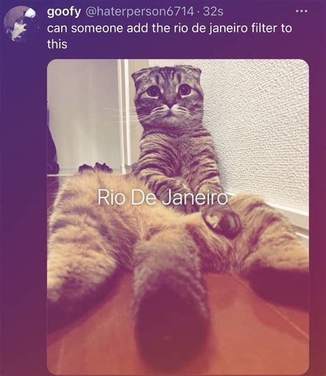 Rio De Janeiro Instagram Filter Meme Rio De Janeiro Instagram Filter Know Your Meme