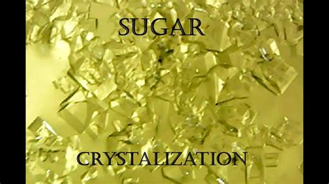 Crystalization Sugar Youtube