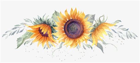Download Sunflower Watercolor Hand Painted Transparent - Free