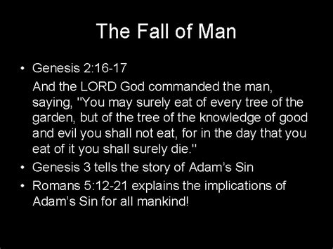 Creation And The Creation And Fall Of Man