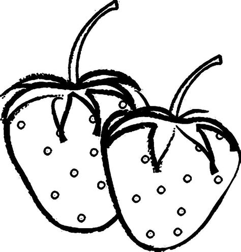 Strawberry Outline Drawing At Explore Collection