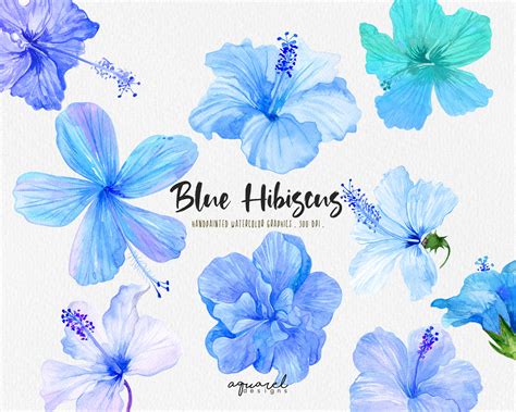 BLUE HIBISCUS Watercolor Hibiscus Flower Tropical Flower Exotic