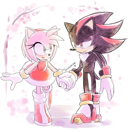 the underrated amy rose and the overrated shadow the hedgehog [art by lala] r shadowthehedgehog