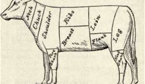 primary cuts of veal