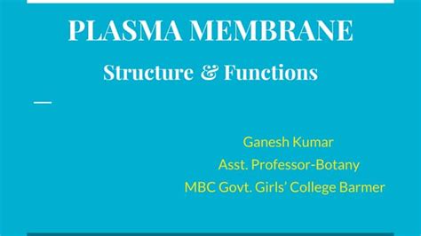 Plasma Membrane Structure And Function Ppt