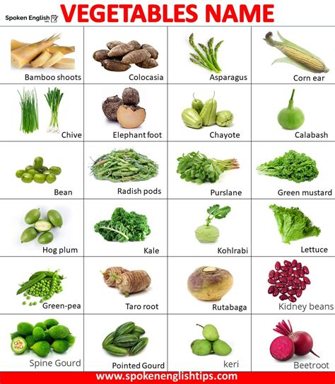 vegetables name 100 list of vegetable name in english with picture pdf vegetables names with