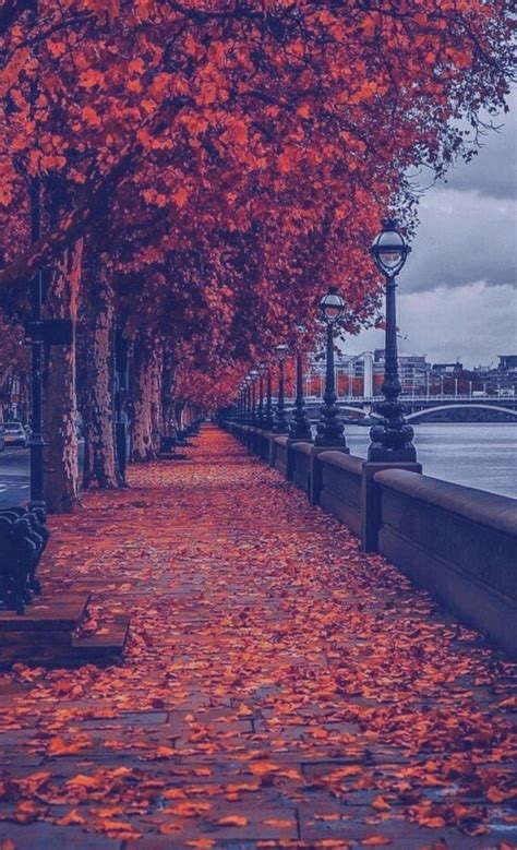 Pin By Khushi💥 On Autumn Vibes Landscape Wallpaper Nature Wallpaper