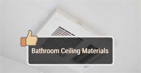 The 11 Best Bathroom Ceiling Materials To Buy 2023 Shower Ceiling Ideas