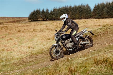 Scare over, it was time to get back to. What you can learn from herding cows on a Triumph ...