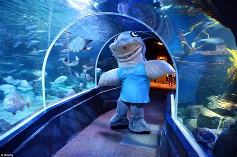 Aquadoms Hotel Aquarium In Berlin Has An Elevator For Guests Inside It