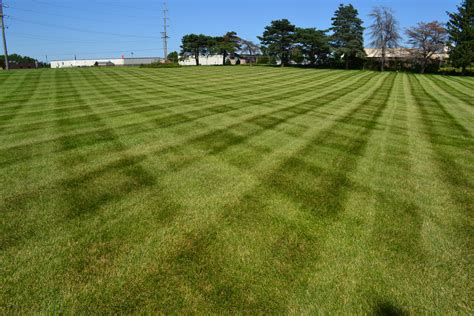Lawn Mowing Photos Of Residential And Commercial Turf Grass Patterns