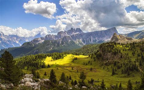 Mountain Landscape Rocky Peaks Forest With Pine Trees Meadow With Green