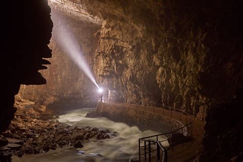 50 Breathtaking Postojna Cave Photos To Inspire You To Visit Slovenia