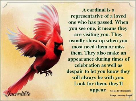 Mankind has always had a special connection to birds. The meaning of a Cardinal showing up..... | ☆° °☆The ...