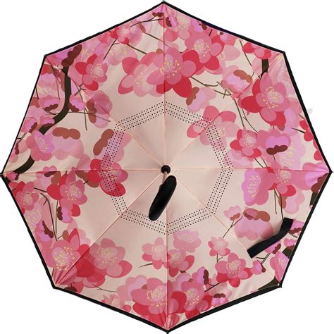 Top 10 Coolest Umbrellas Youll Ever See