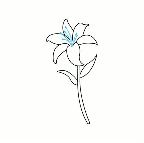 How To Draw A Water Lilly Simple Rose Drawing Step By Vrogue Co