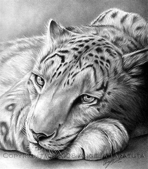 40 Realistic Animal Pencil Drawings Art Dibujos Hechos A Lapiz