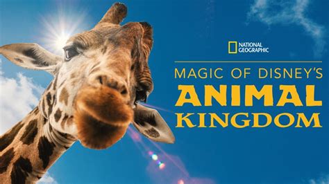 Watch Magic Of Disneys Animal Kingdom Full Episodes Disney